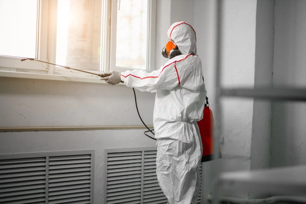 Professional mold remediation services in Tate, GA